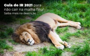 Guia Ir 2021 Para Nao Cair Na Malha Fina Saiba Mais Na Descricao Post 1 - LLP Contábil