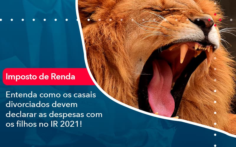 Entenda Como Os Casais Divorciados Devem Declarar As Despesas Com Os Filhos No Ir 2021 1 - LLP Contábil