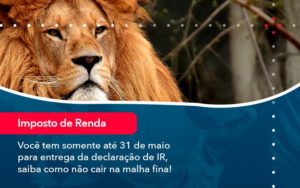 Voce Tem Somente Ate 31 De Maio Para Entrega Da Declaracao De Ir Saiba Como Nao Cair Na Malha Fina 1 - LLP Contábil