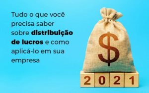 Tudo O Que Voce Precisa Saber Sobre Distribuicao De Lucros E Como Aplicalo Em Sua Empresa Blog 1 - LLP Contábil